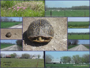 Liberty, KS 0425to0430131